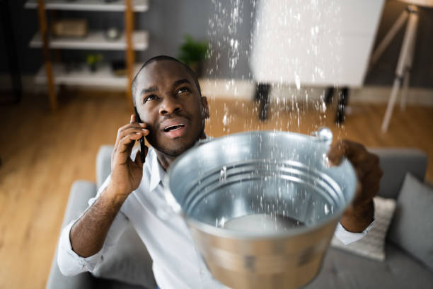 Best Water damage restoration near me  in Honeoye Falls, NY