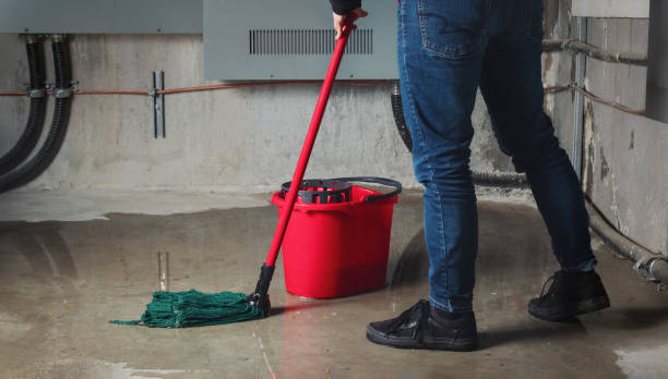 Best Emergency water damage restoration  in Honeoye Falls, NY