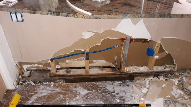 Best Flooded house restoration  in Honeoye Falls, NY